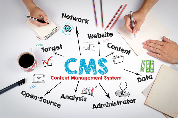 CMS Nedir? (İçerik Yönetim Sistemi)